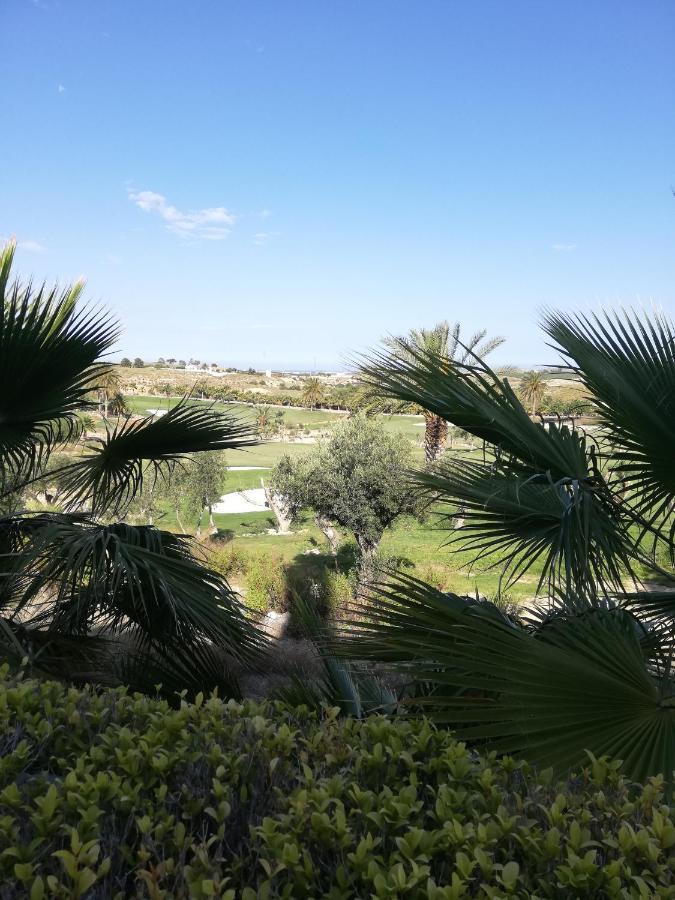 Bajo Con Jardin Propio En Valle Del Este Golf!! Vera Luaran gambar